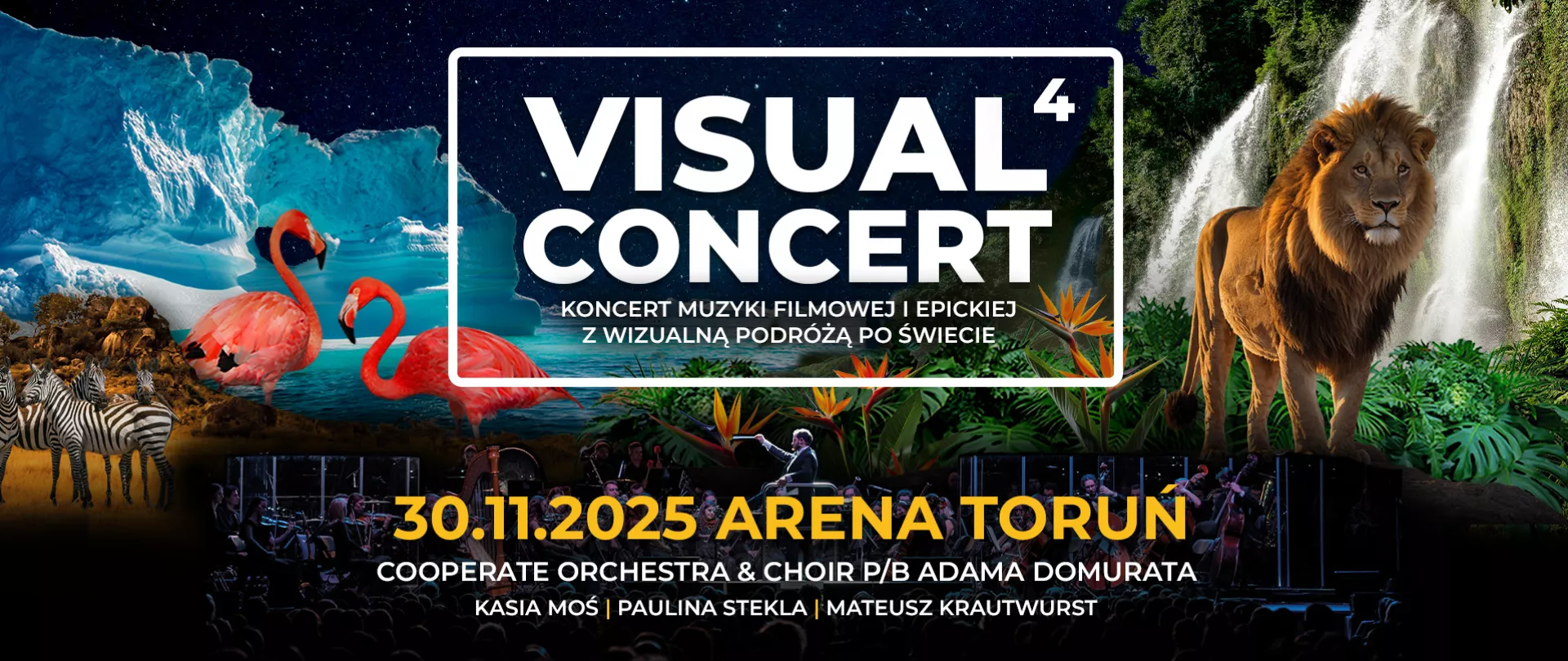 Arena Toruń