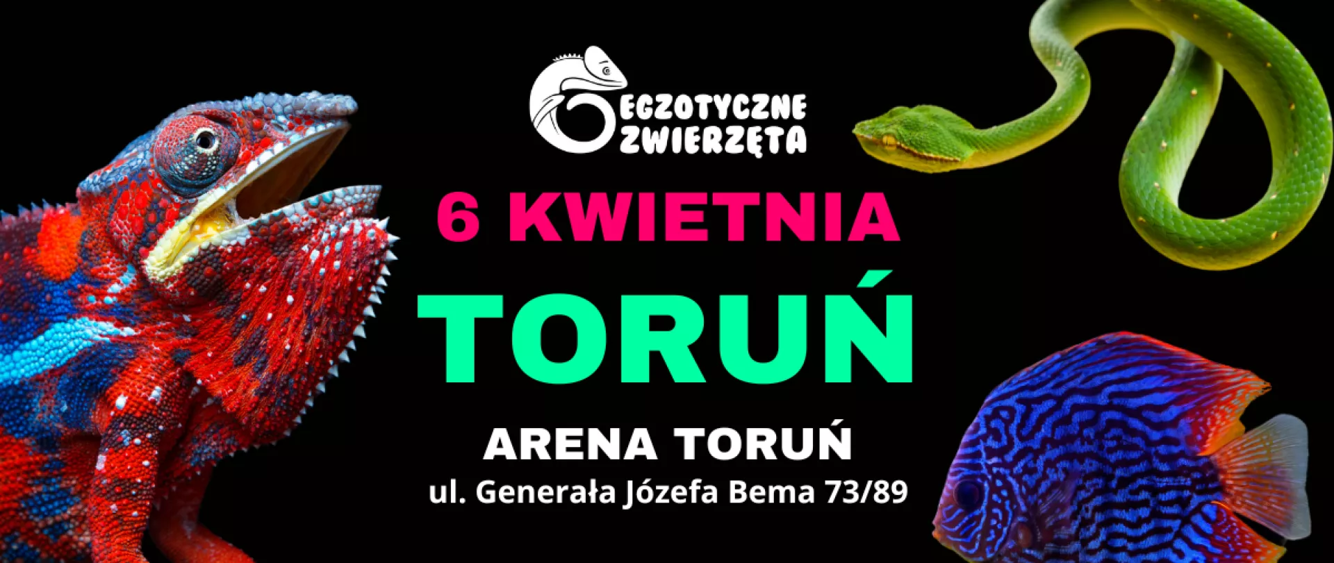 Egzotyczne zwierzęta