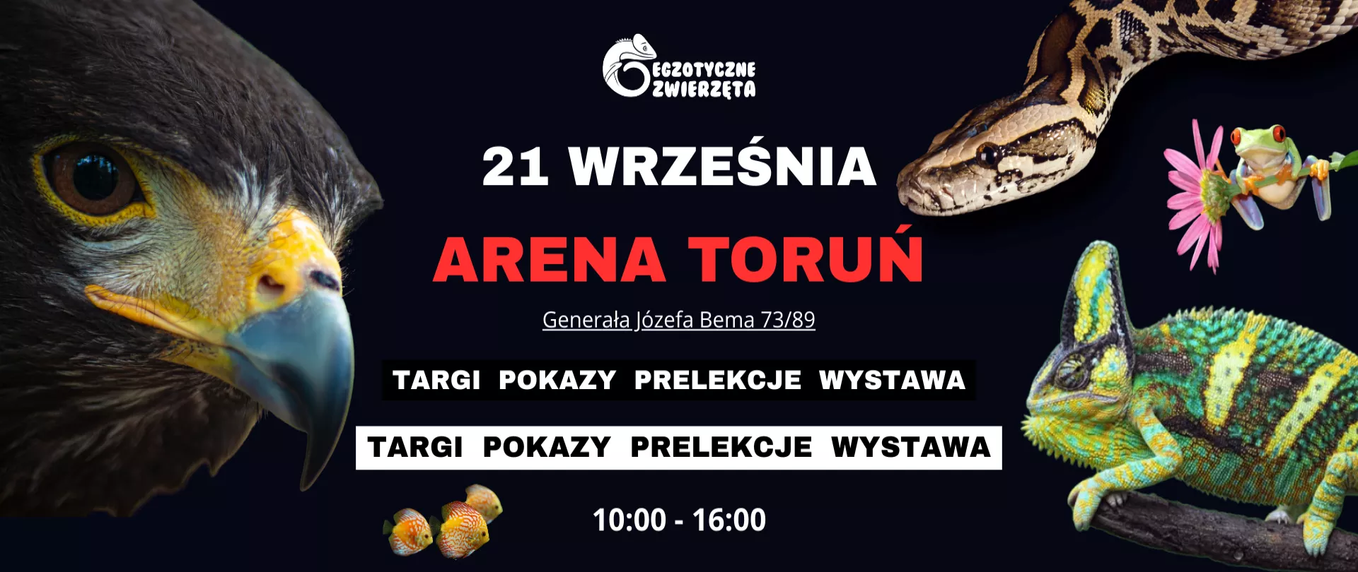 Targi Egzotyczne Zwierzęta