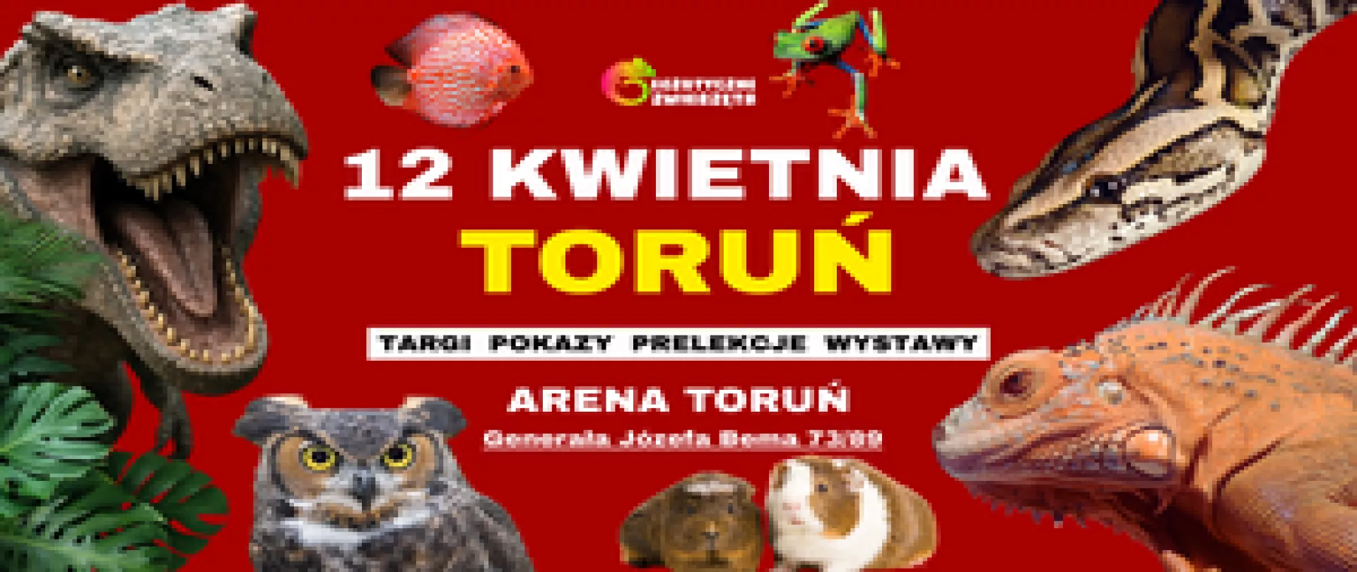 Egzotyczne Zwierzęta TERRARYSTYKA AKWARYSTYKA BOTANIKA