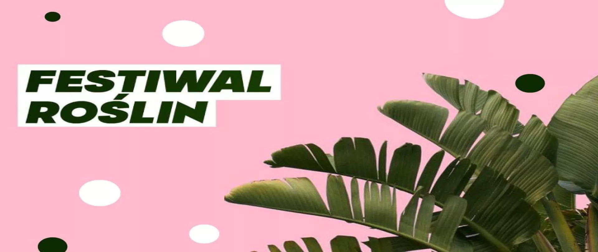 Festiwal Roślin – wielki market roślin w super cenach