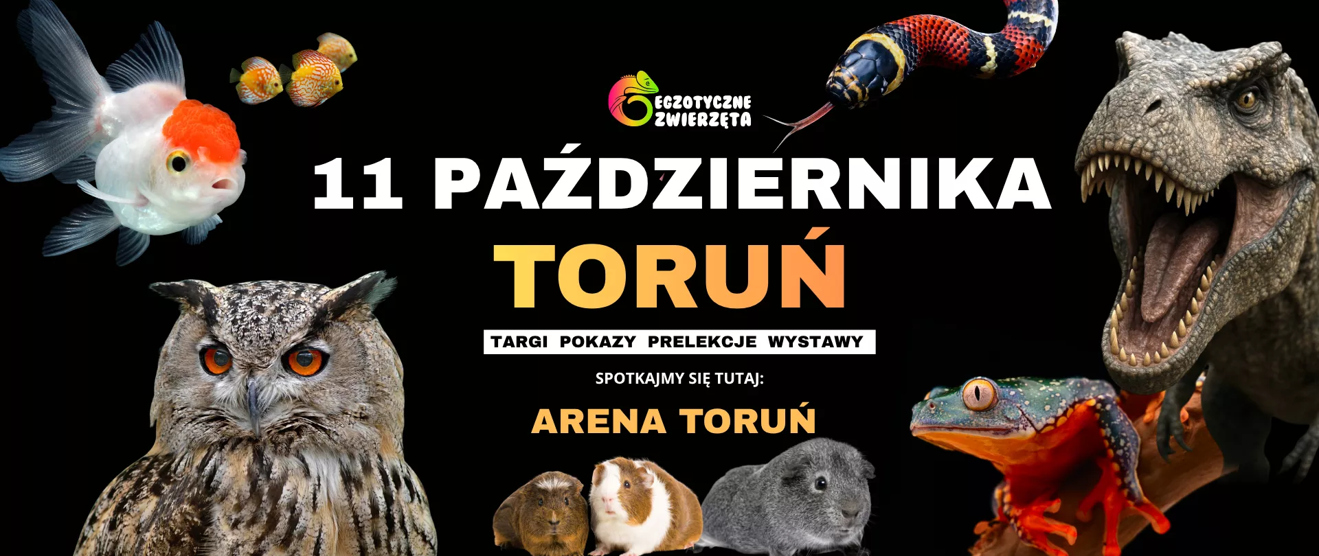 Targi Egzotyczne Zwierzęta