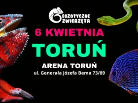 Egzotyczne zwierzęta