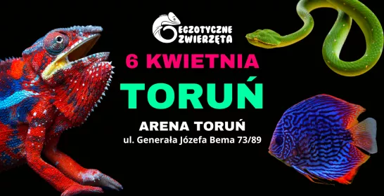 Egzotyczne zwierzęta