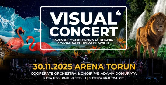 Arena Toruń