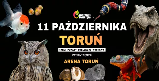 Targi Egzotyczne Zwierzęta