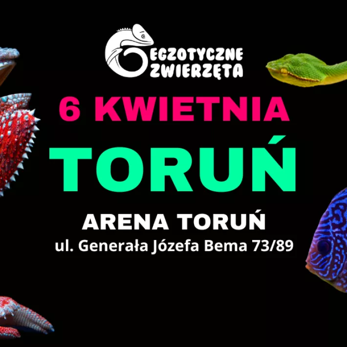 Egzotyczne zwierzęta