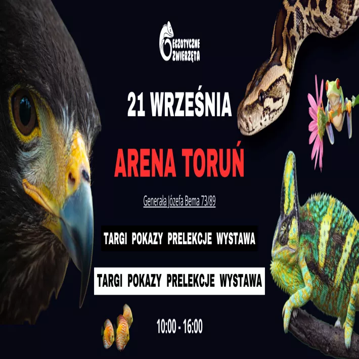 Targi Egzotyczne Zwierzęta